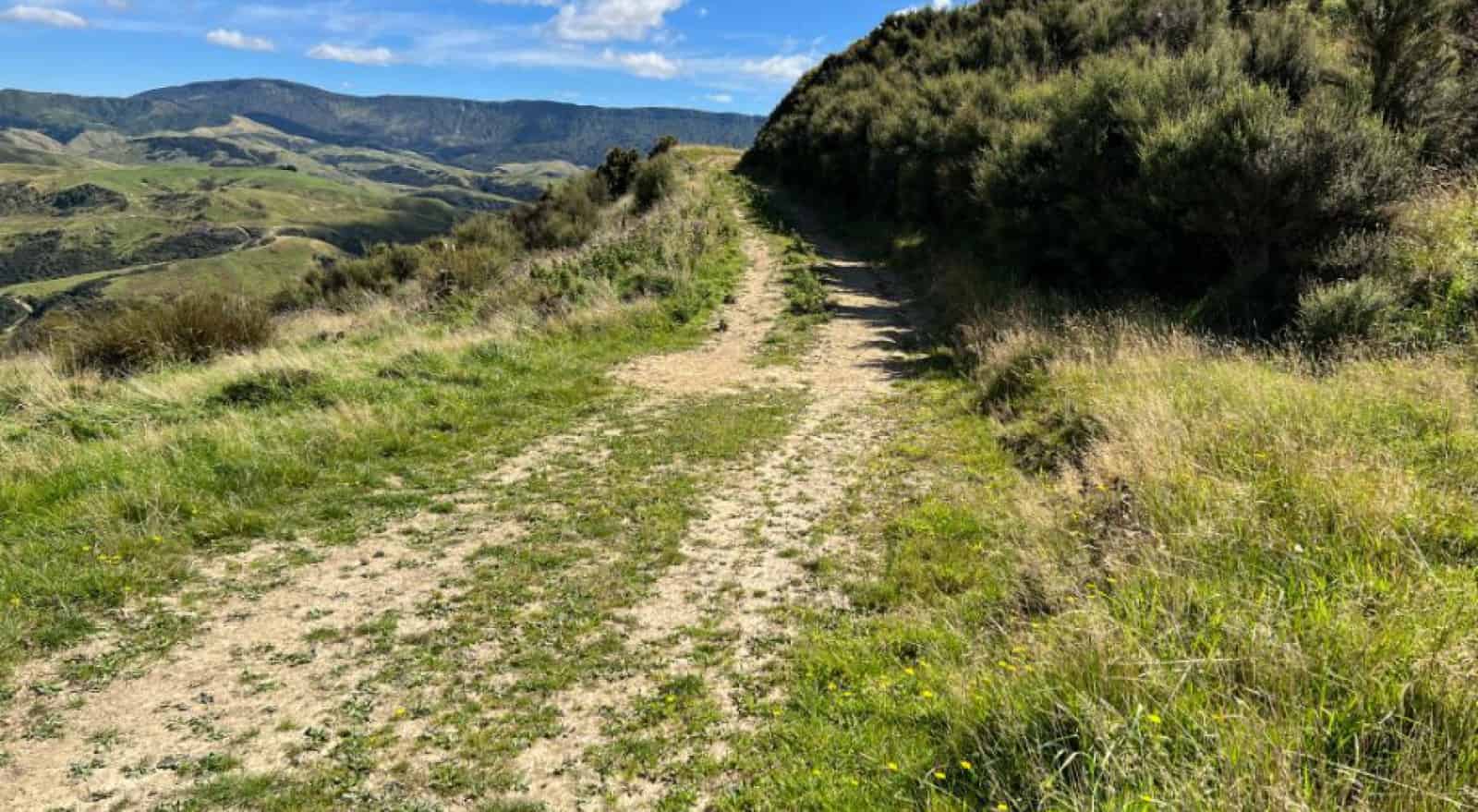 4080 Pahiatua Pongaroa Road, Pongaroa, Tararua For Sale realestate.co.nz