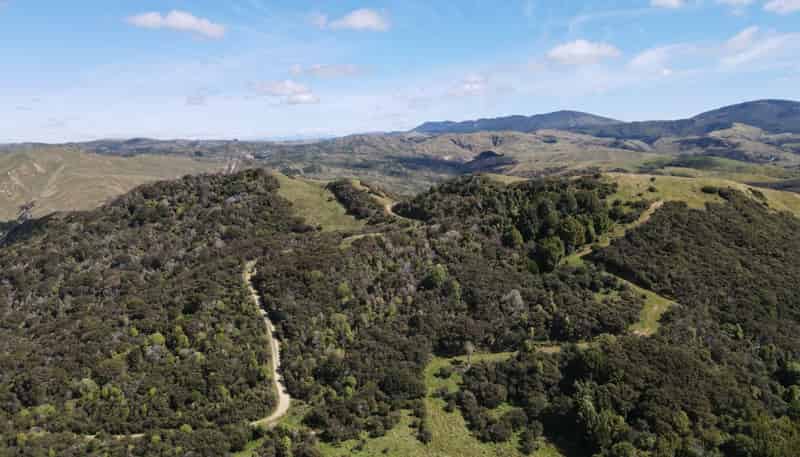 4080 Pahiatua Pongaroa Road, Pongaroa