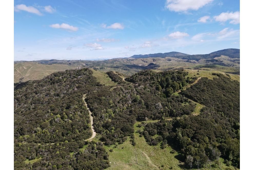 4080 Pahiatua Pongaroa Road, Pongaroa, Tararua For Sale realestate