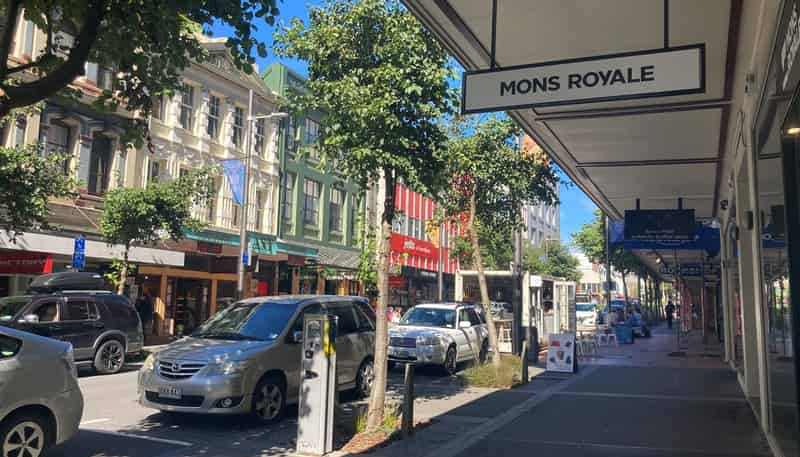  Shop 3, 30 Cuba Street, Te Aro