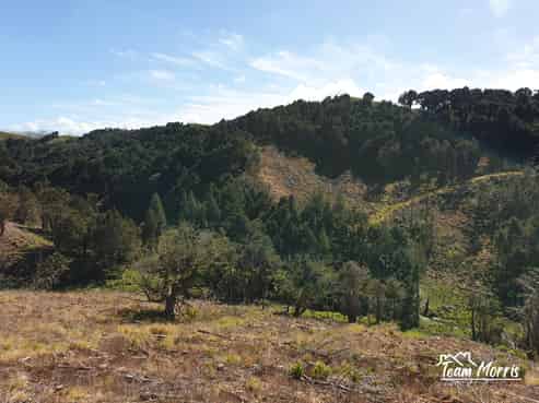 Lot 8/47 Kamea Place, Maungaturoto