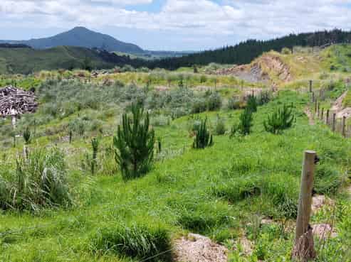 Lot 8/47 Kamea Place, Maungaturoto