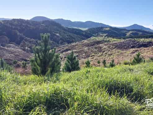 Lot 8/47 Kamea Place, Maungaturoto