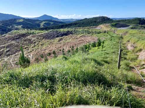 Lot 8/47 Kamea Place, Maungaturoto