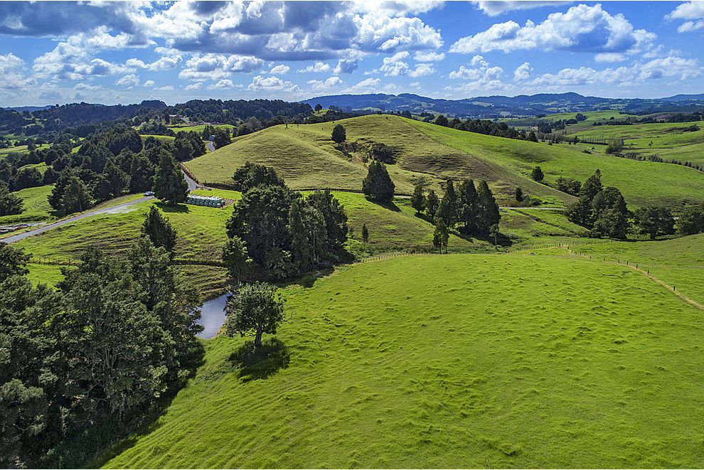 Lot 1 Oetzman Road, Towai, Far North For Sale realestate.co.nz