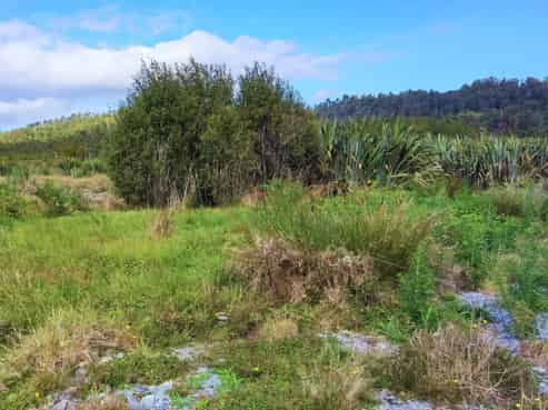 12 Albert Street, Okarito