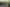 1158 Broadwood Road, Herekino