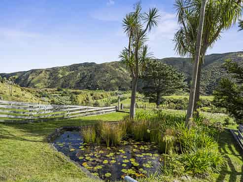 1203 Coast Road, Pencarrow Head