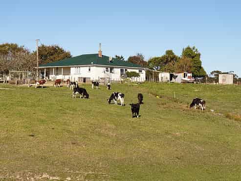 41 Lindquist Road, Otamatea Surrounds