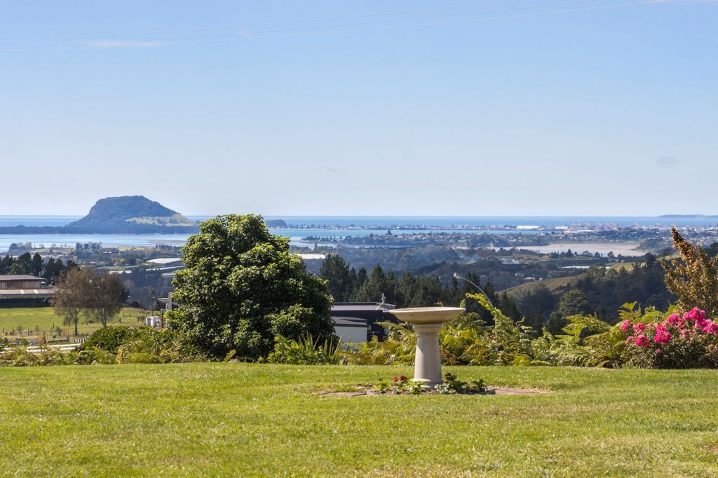 Property value 354A Whakamarama Road, Whakamarama realestate.co.nz