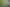 Develop or Occupy +/- 12,000sqm in Helensville
