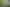 Develop or Occupy +/- 12,000sqm in Helensville