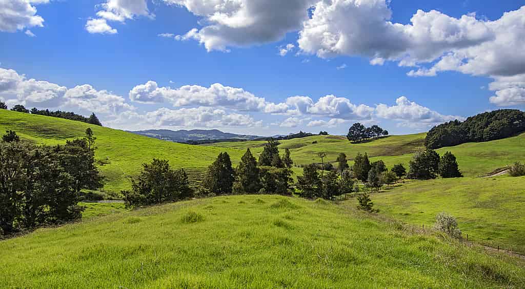 Lot 1 Oetzman Rd, Hukerenui and Surrounds, Whangarei For Sale realestate.co.nz