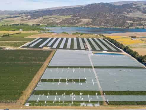  31 Gilmore Road, Cromwell