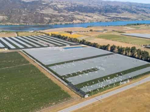  31 Gilmore Road, Cromwell