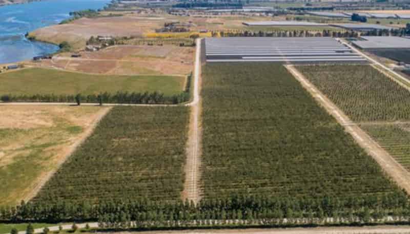  31 Gilmore Road, Cromwell