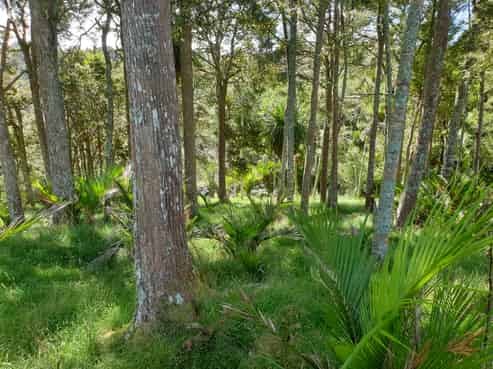 Lot 7/49 Kamea Place, Maungaturoto