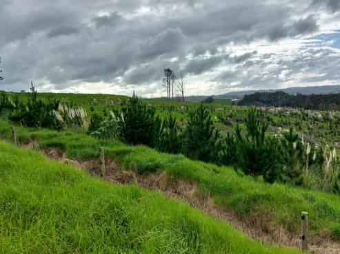 Lot 7/49 Kamea Place, Maungaturoto