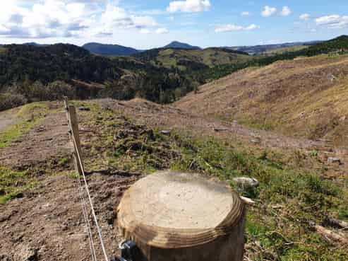 Lot 7/49 Kamea Place, Maungaturoto