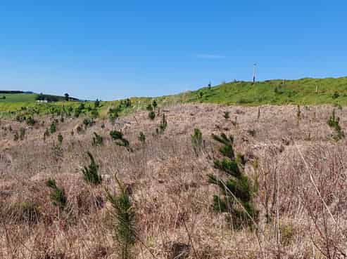 Lot 7/49 Kamea Place, Maungaturoto
