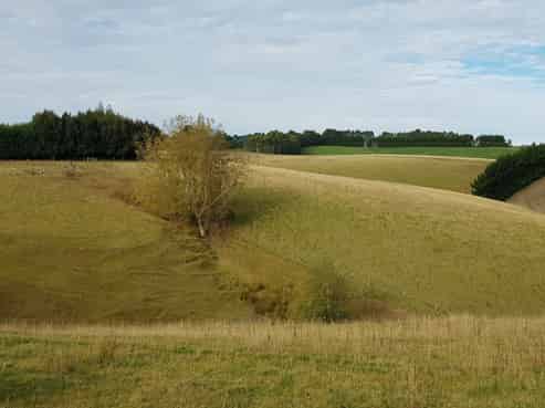 161 Roulston Road, Waitahuna