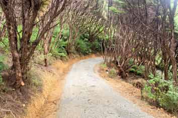 624 Blind Bay Road, Great Barrier Island
