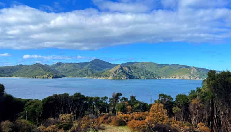 624 Blind Bay Road, Great Barrier Island