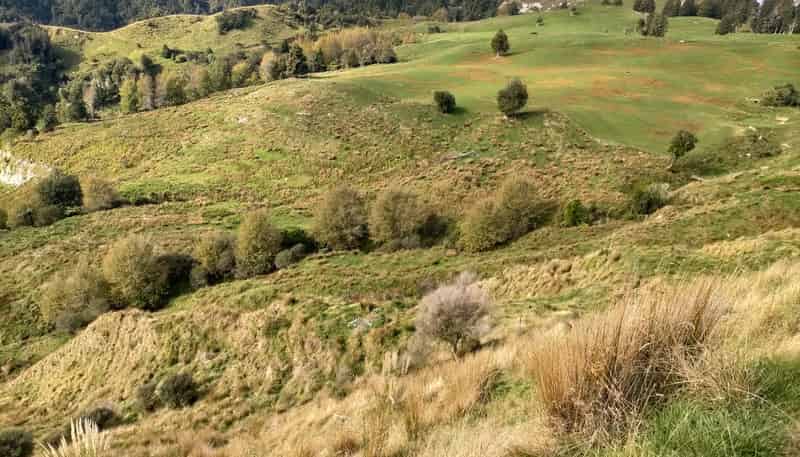 Lot 2 1399 Okoki Road, Okoki