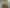 1095 Broadwood Road, Broadwood
