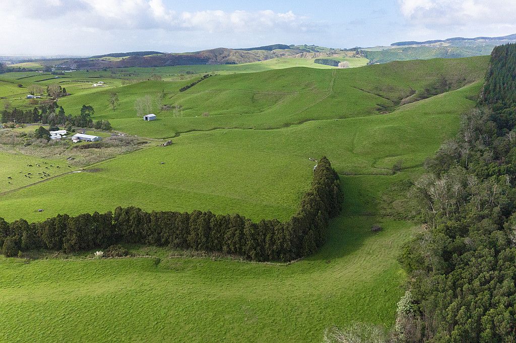 Sold 160 McWatt Road, Waitakaruru realestate.co.nz