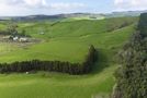 160 McWatt Road, Waitakaruru, Hauraki, Waikato