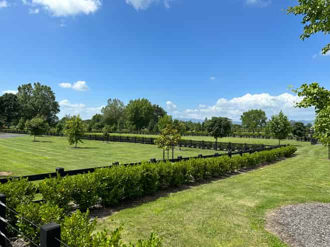  Station Rd, Matamata