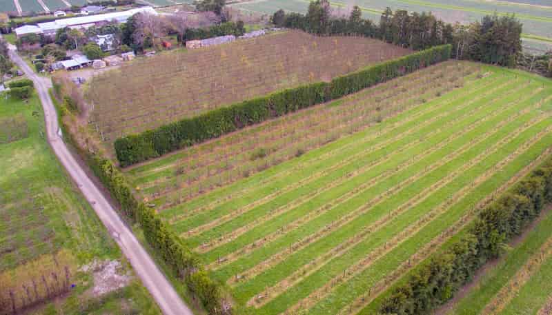  Hoggs Road, Manakau, Levin