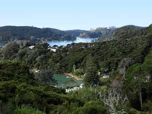 4 Wilson Avenue, Kawau Island