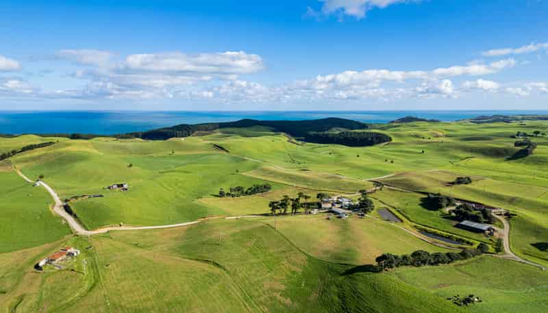 614 Te Maire Rd, Te Kopuru