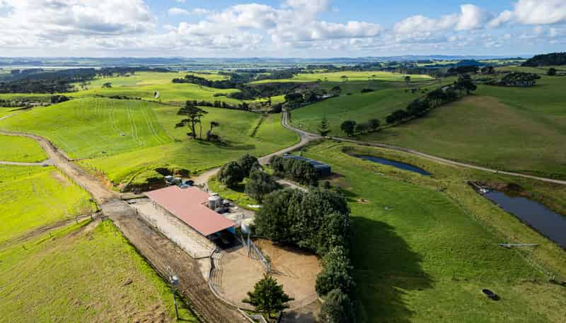 614 Te Maire Rd, Te Kopuru