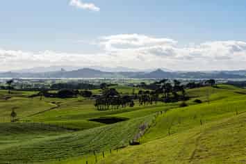 614 Te Maire Rd, Te Kopuru