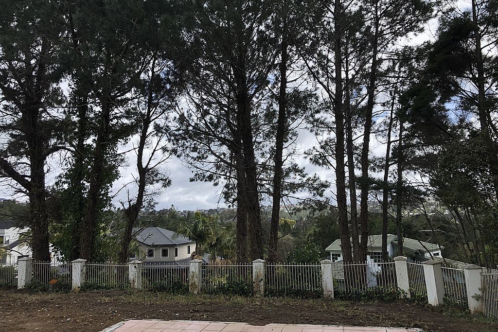 1,011sqm of Pure Potential in Chatswood - Widok 4