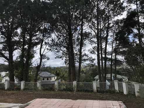 139 Onetaunga Road, Chatswood