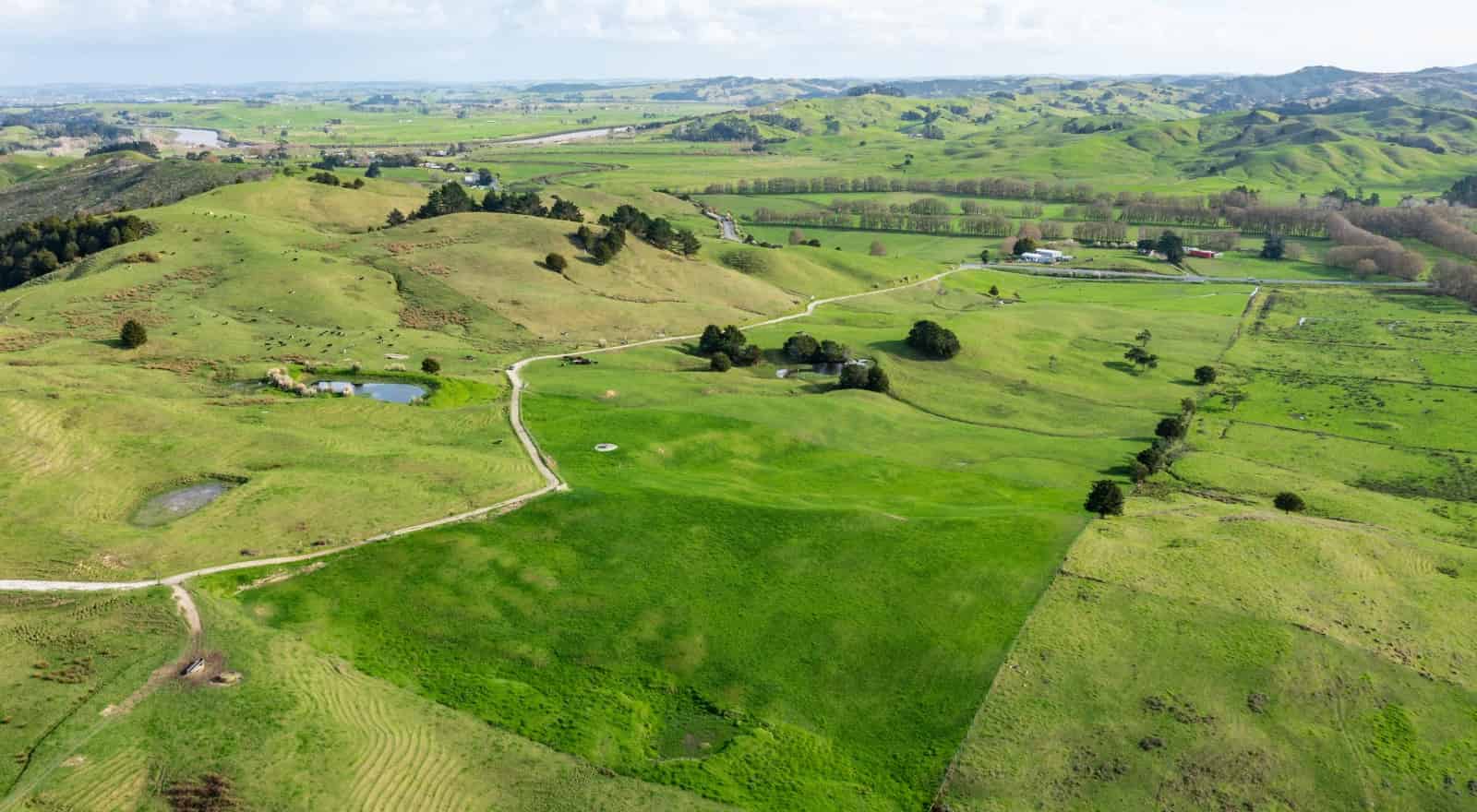 184 Tangowahine Valley Road, Tangowahine, Kaipara For Sale