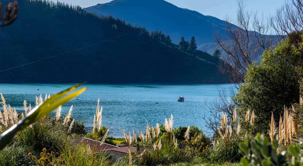 1476 Port Underwood Road Oyster Bay, Port Underwood, Marlborough For