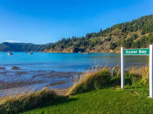 1476 Port Underwood Road Oyster Bay, Port Underwood