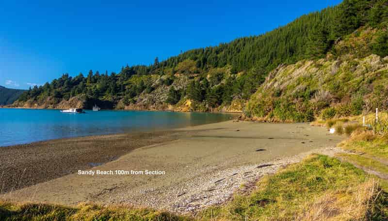 1476 Port Underwood Road Oyster Bay, Port Underwood