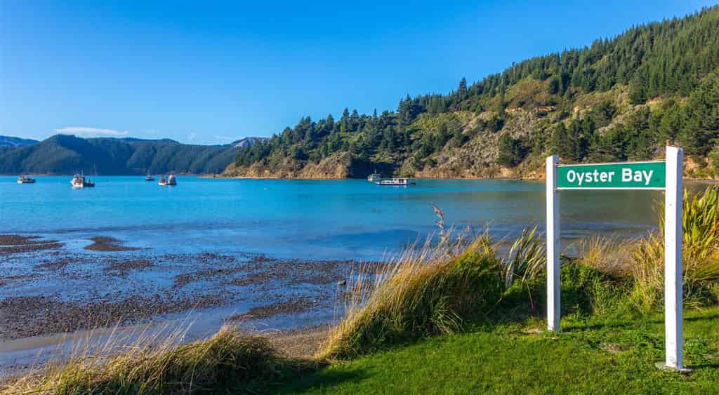 1476 Port Underwood Road Oyster Bay, Port Underwood, Marlborough For
