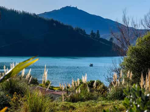 1476 Port Underwood Road Oyster Bay, Port Underwood