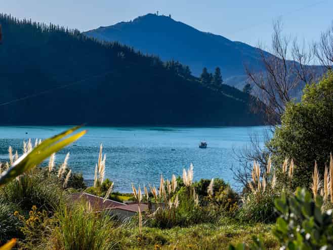 1476 Port Underwood Road Oyster Bay, Port Underwood