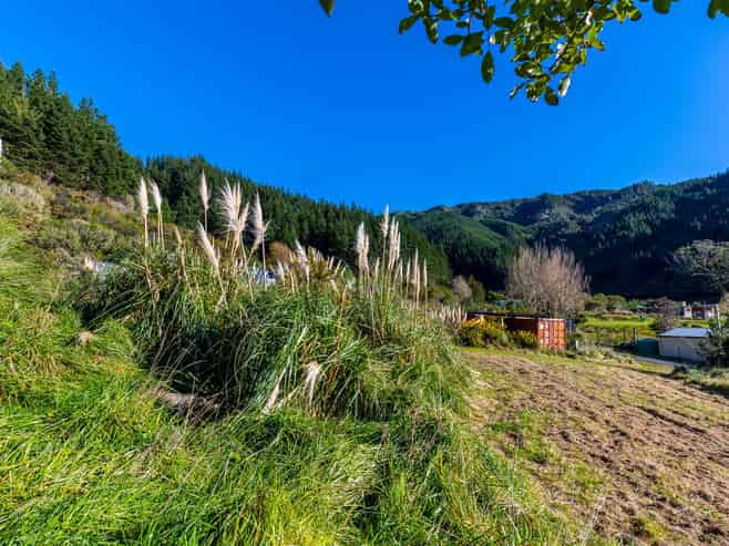 1476 Port Underwood Road Oyster Bay, Port Underwood