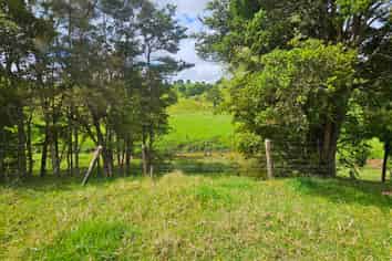 1247 Kirikopuni Valley Road, Tangiteroria