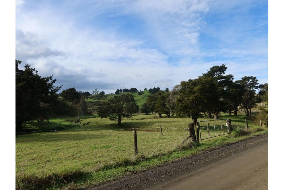 1247 Kirikopuni Valley Road, Tangiteroria, Kaipara For Sale