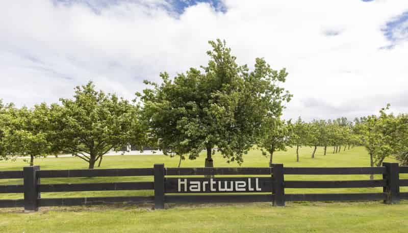  Hartwell Sections, Kelvin Grove